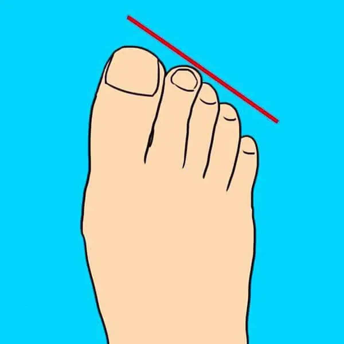 القدم المصرية