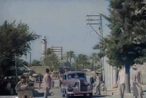 فيديو من فلسطين watanserb.com