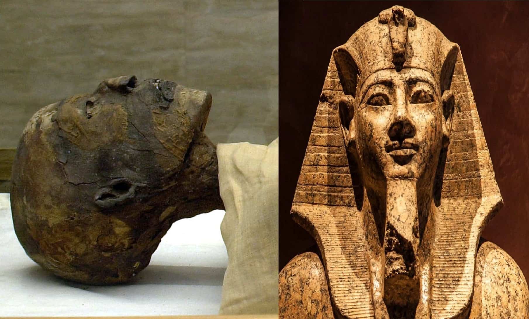 أصل فرعون watanserb.com