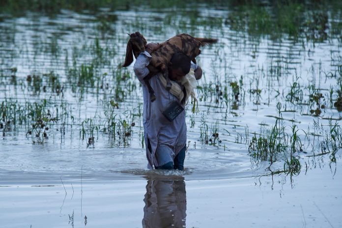 فيضانات باكستان watanserb.com