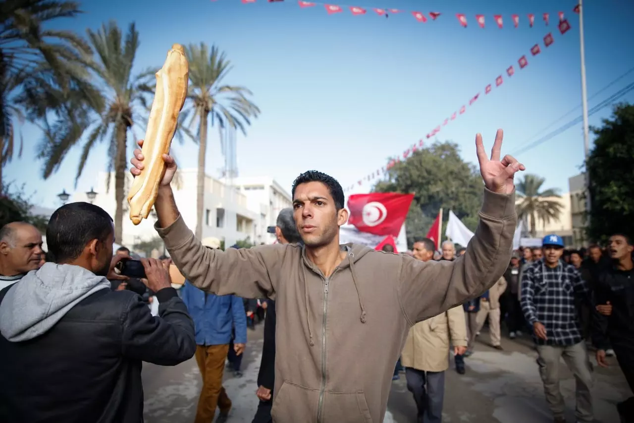 أزمة تونس watanserb.com