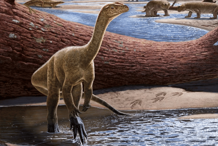 اكتشاف أقدم ديناصور في إفريقيا عاش منذ 230 مليون سنة watanserb.com