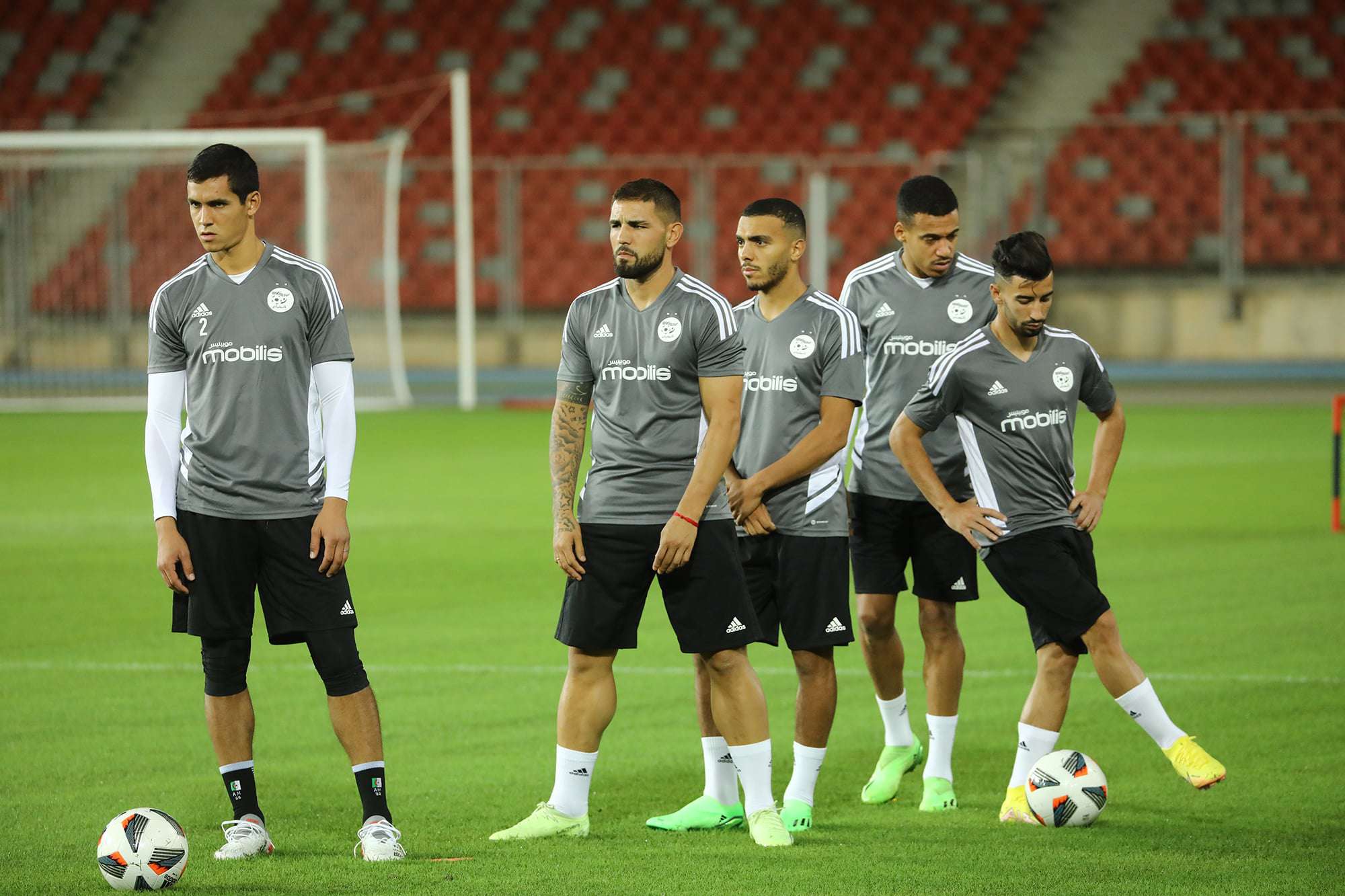 مباراة الجزائر ضد غينيا الودية watanserb.com