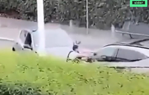 شرطي فرنسي يقتل تونسي watanserb.com