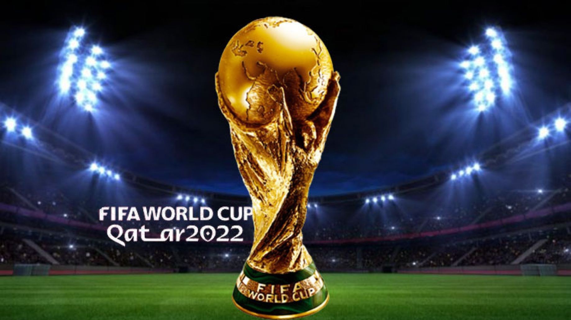 تأمين كأس العالم watanserb.com