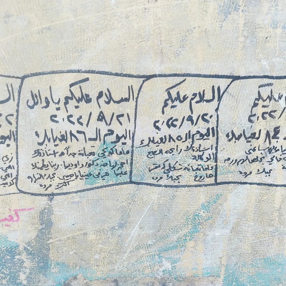 الأرملة المصرية التي تكتب يومياتها على قبر زوجها تخرج عن صمتها.. زوجة ثانية! watanserb.com