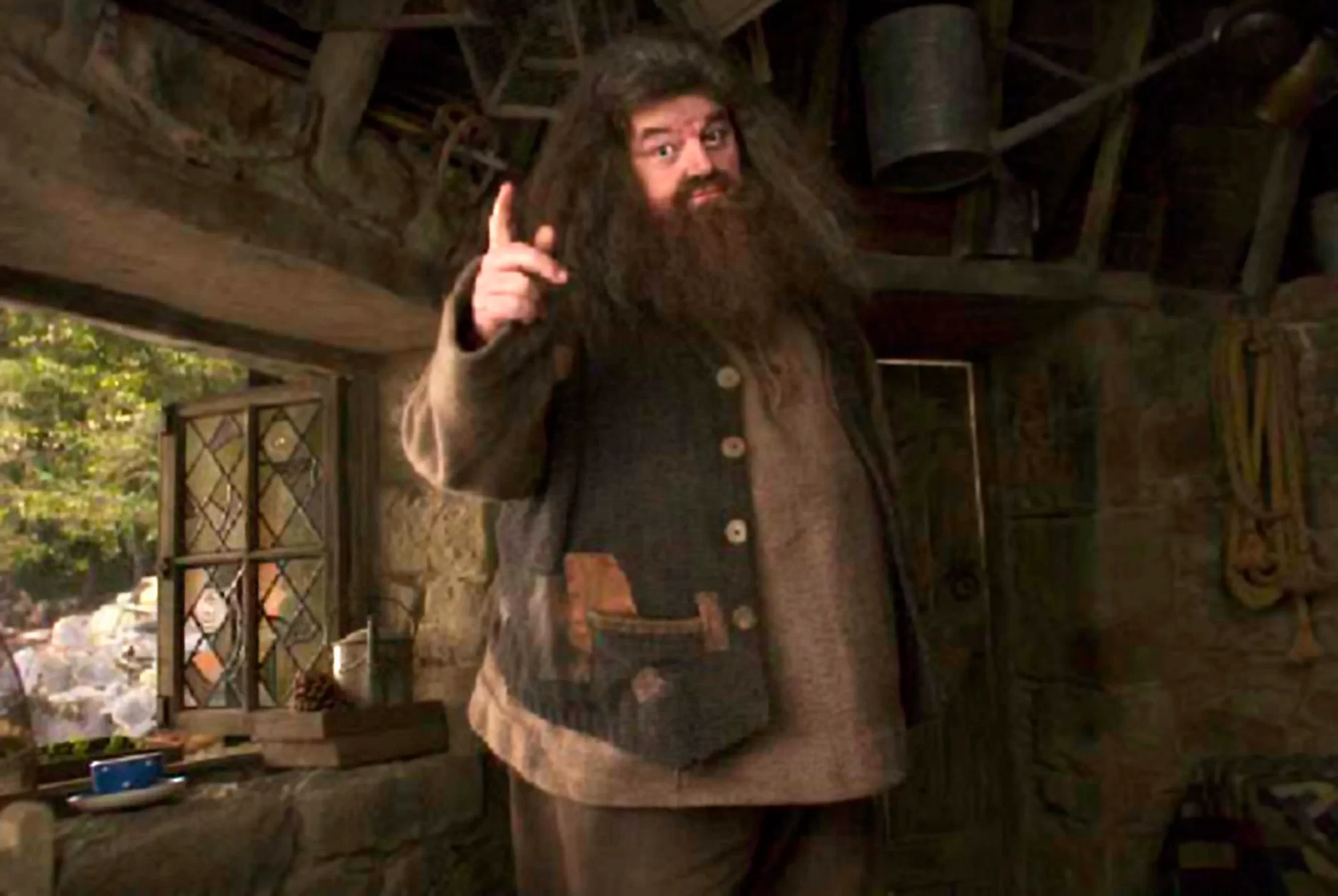 هاري بوتر "Harry Potter" يفقد أبرز شخصياته في ظروف غامضة.. ماذا حدث لـ"هاجريد"؟ watanserb.com