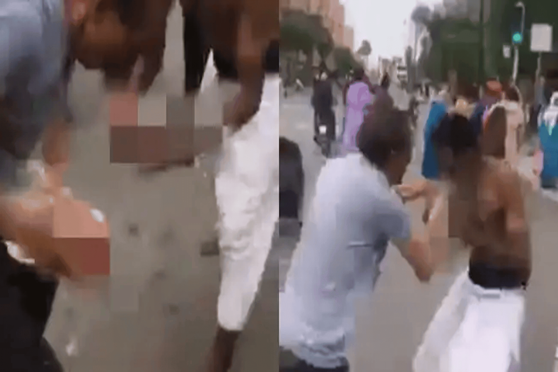 افتراس دجاجة حية watanserb.com