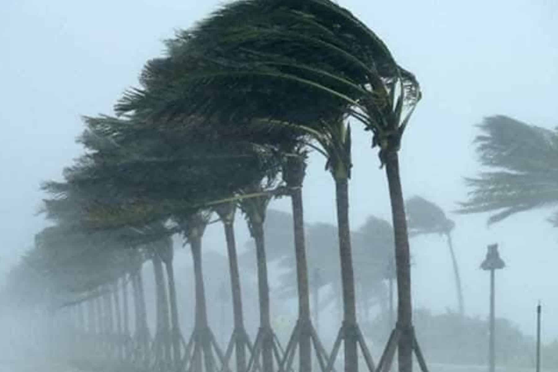 إعصار شاهين watanserb.com