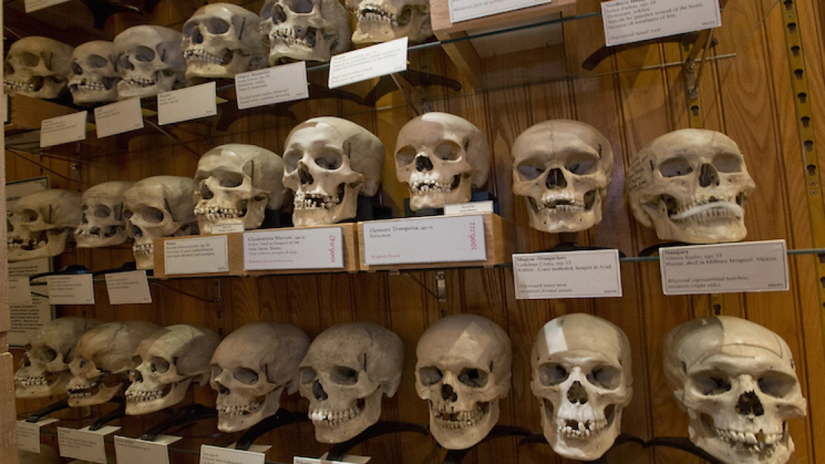 استعادة جماجم المقاومين الجزائريين من فرنسا watanserb.com