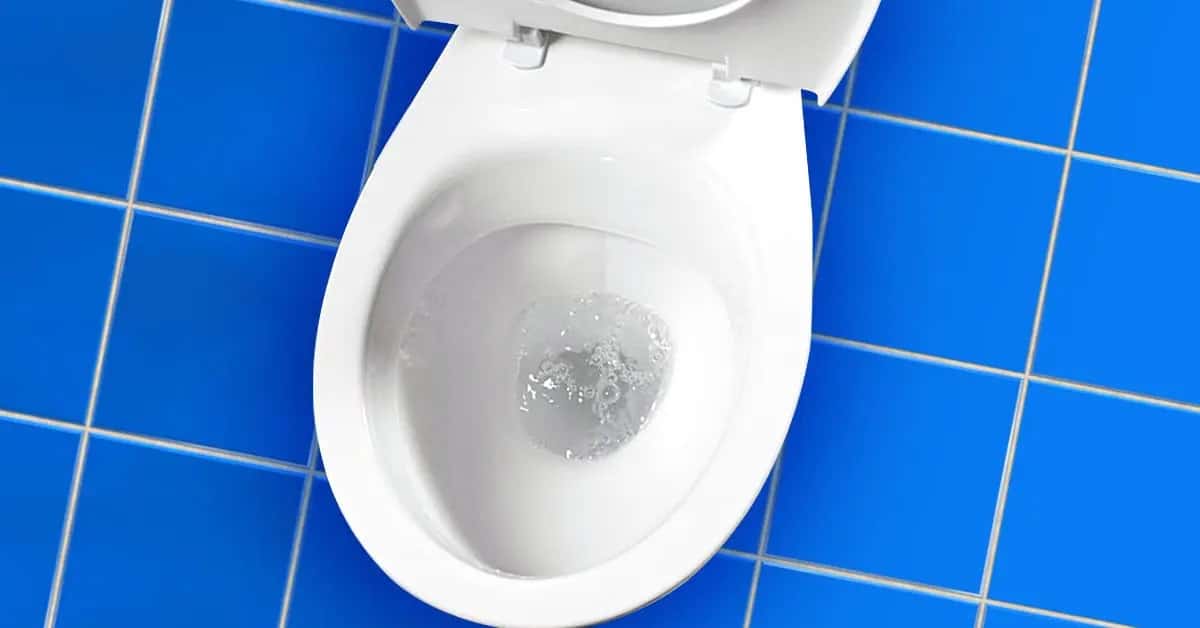 كل المراحيض في العالم، في مرافق خاصة أو عامة أو في المنازل ذات لون أبيض watanserb.com