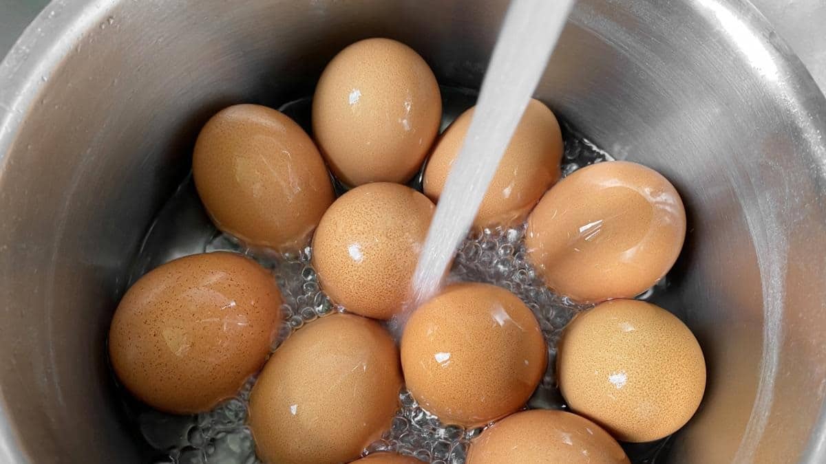 ينبغي ألا نغسل البيض قبل استهلاكه