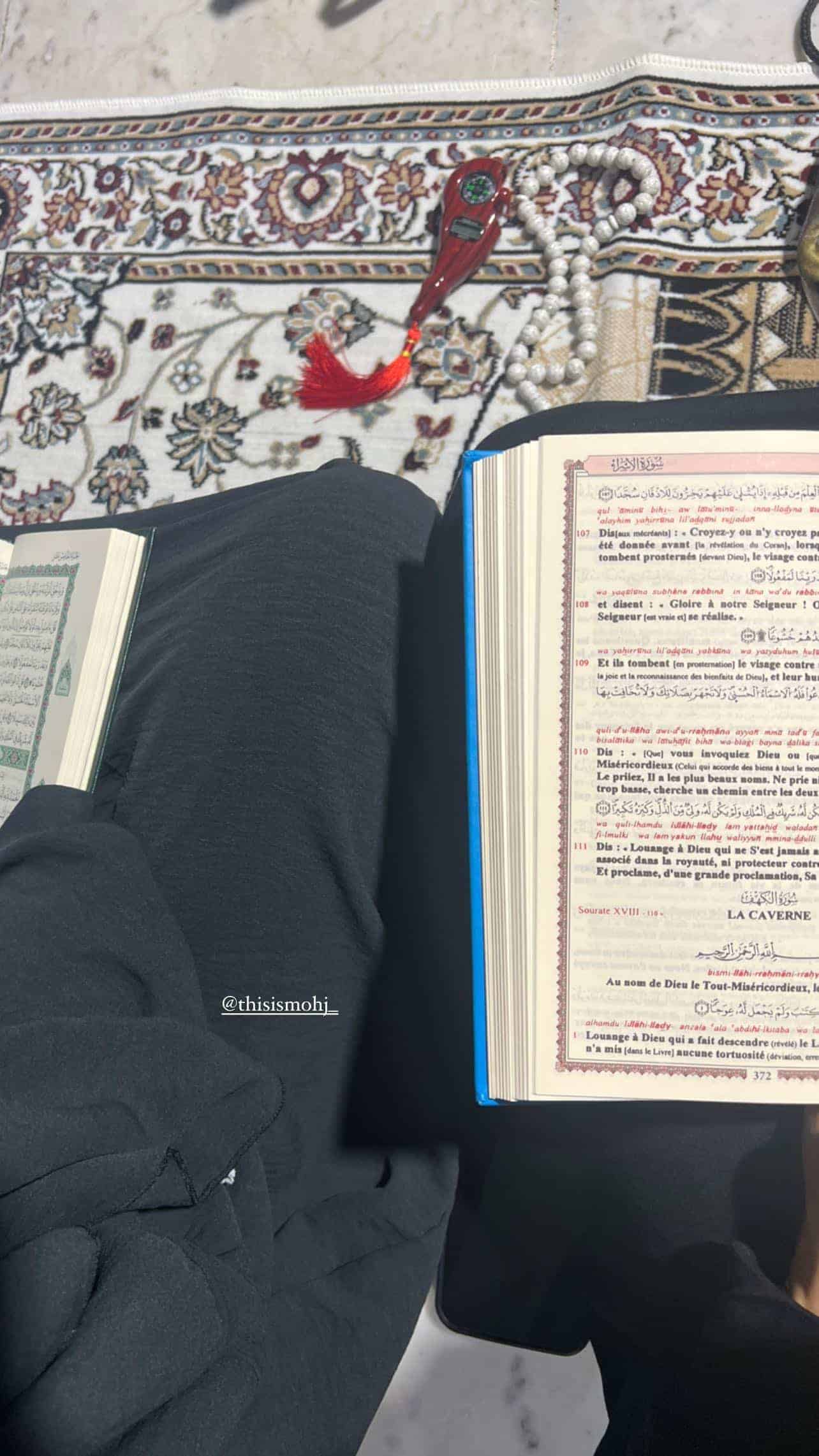 مارين الحيمر