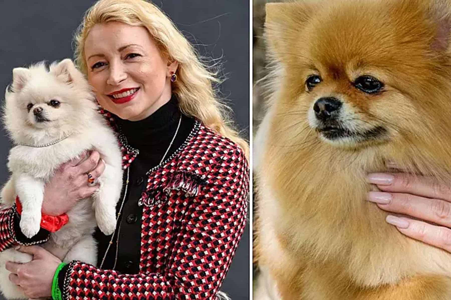 قلادة من الألماس