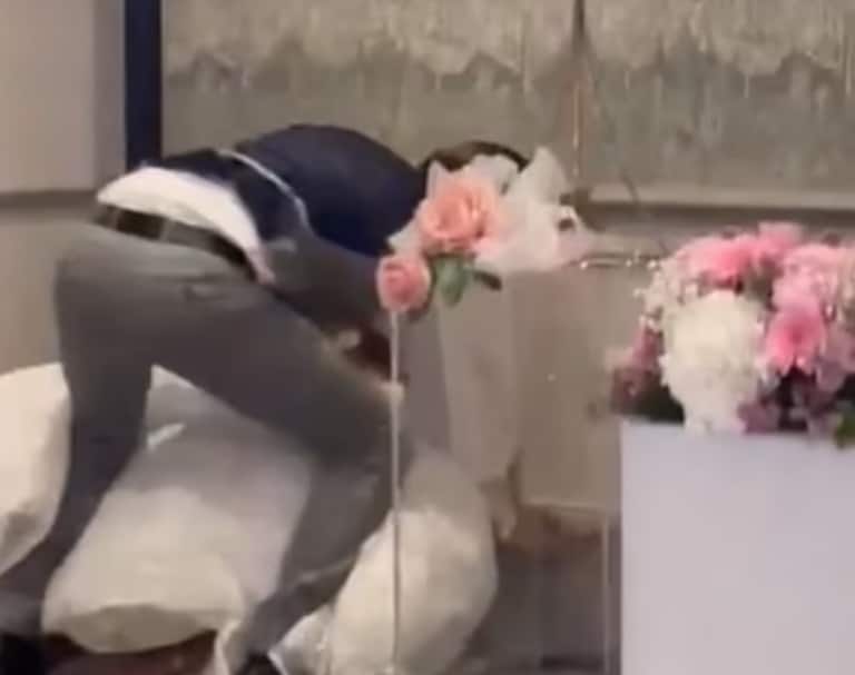 عريس يلطخ وجه عروسه بكعكة الزفاف watanserb.com