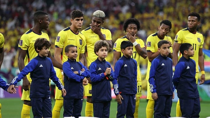 قطر 2022.. لماذا يدخل لاعبو كرة القدم إلى الملعب مع أطفال؟ watanserb.com