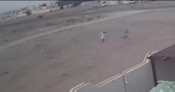 كلاب ضالة تهاجم طفل عماني watanserb.com