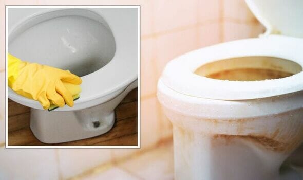 كيف تزيل التسربات والبقع الصفراء الصعبة من مقعد المرحاض؟ watanserb.com