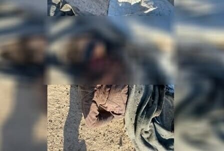 ذبح فتاتان مصريتان قاصرتان في مخيم الهول بسوريا.. لن تتخيل كم تبلغ أعمارهما! watanserb.com