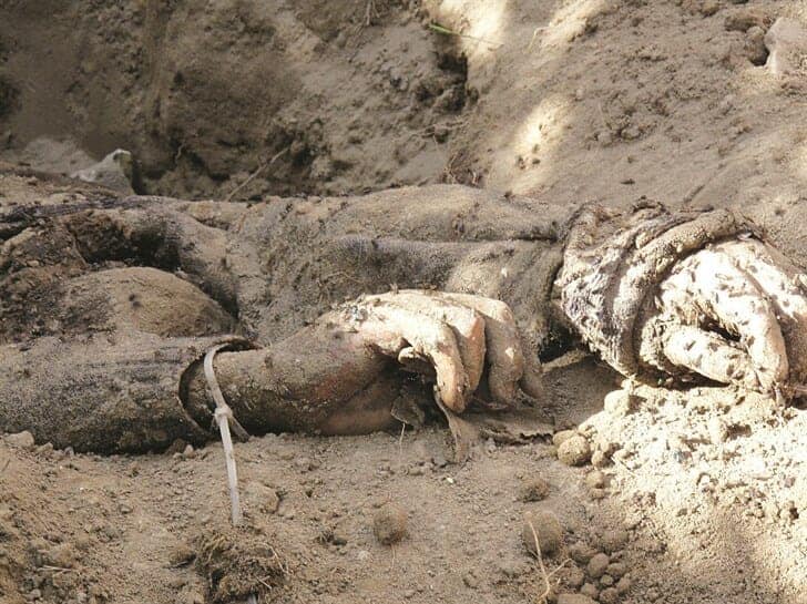 ثلاث جثث متفسخة watanserb.com