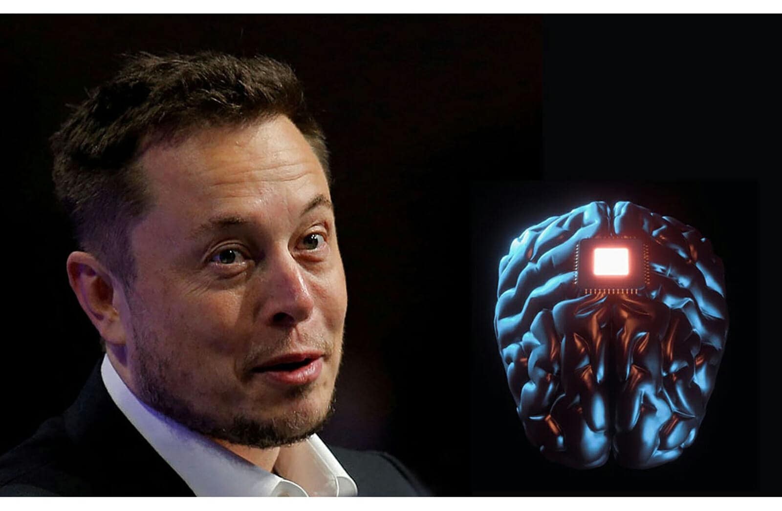 شريحة إيلون ماسك watanserb.com