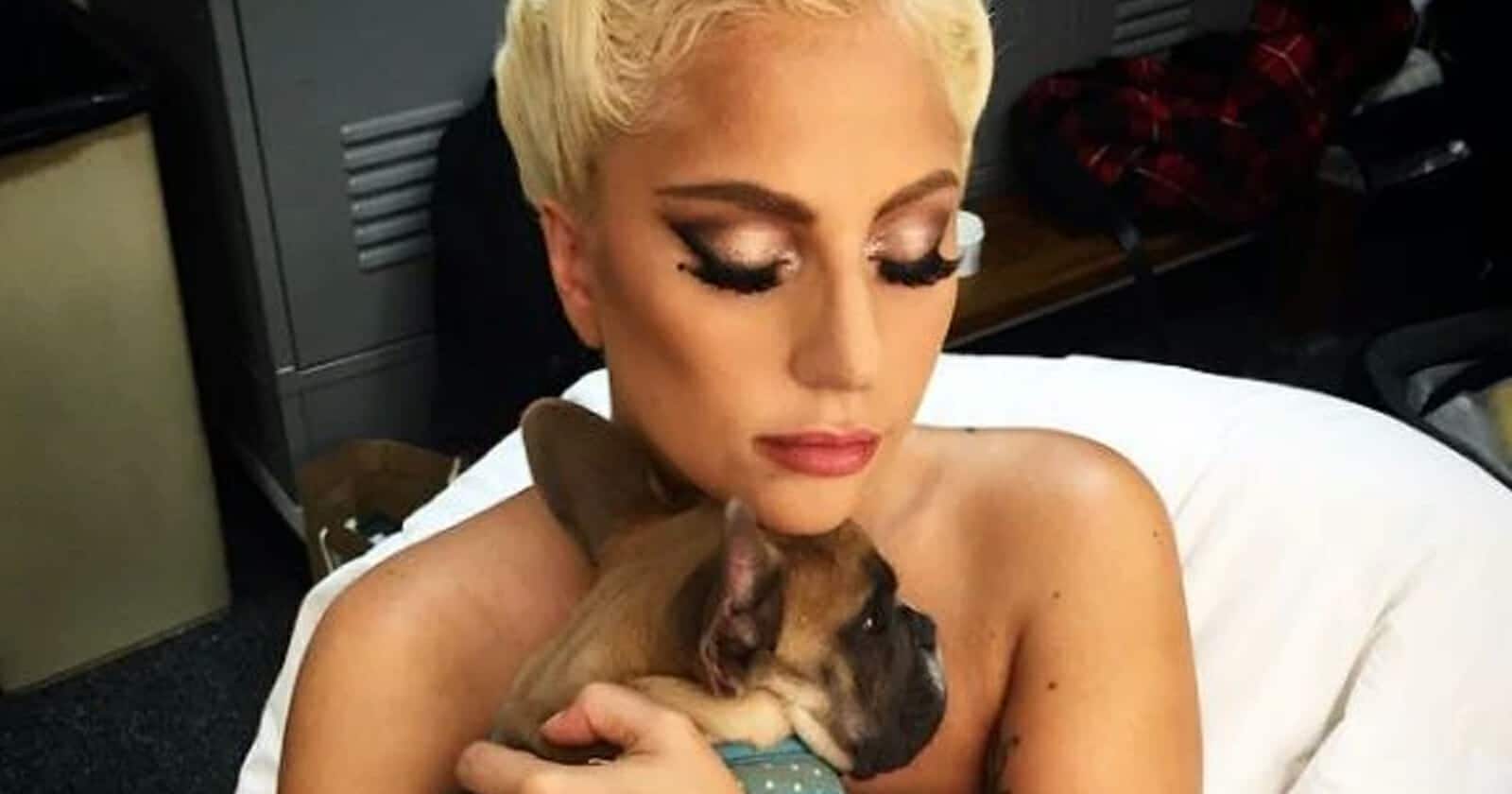 كلاب ليدي غاغا watanserb.com