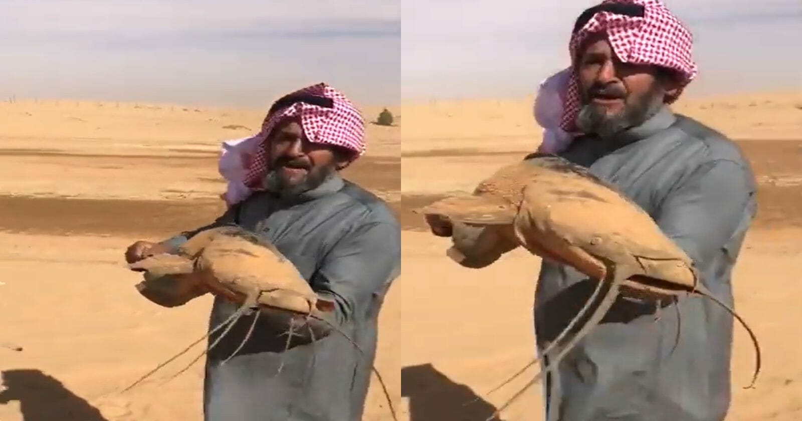 فيديو صادم للعثور على سمكة حية في صحراء السعودية