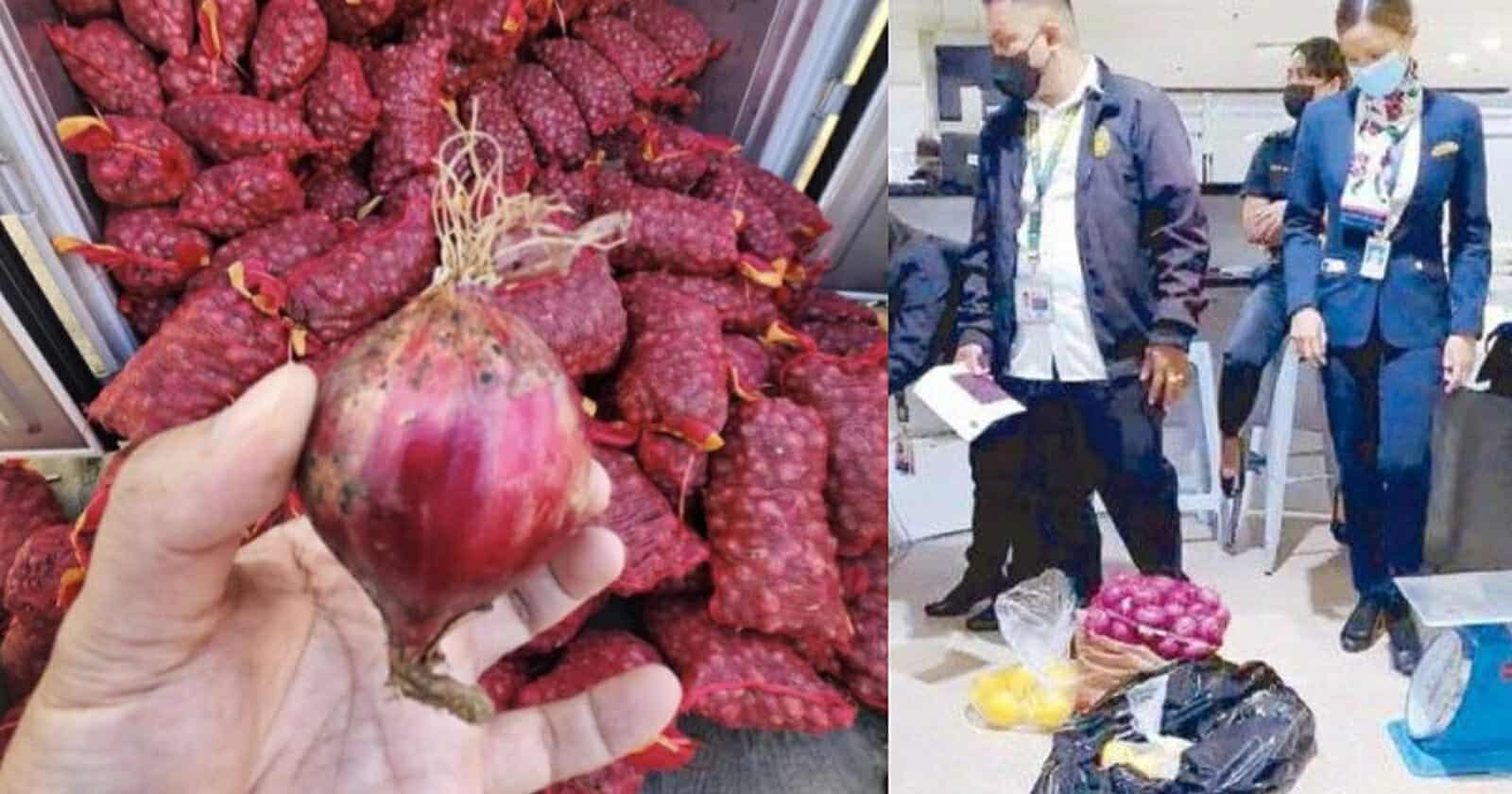 القبض على مضيفات طيران فلبينيات watanserb.com