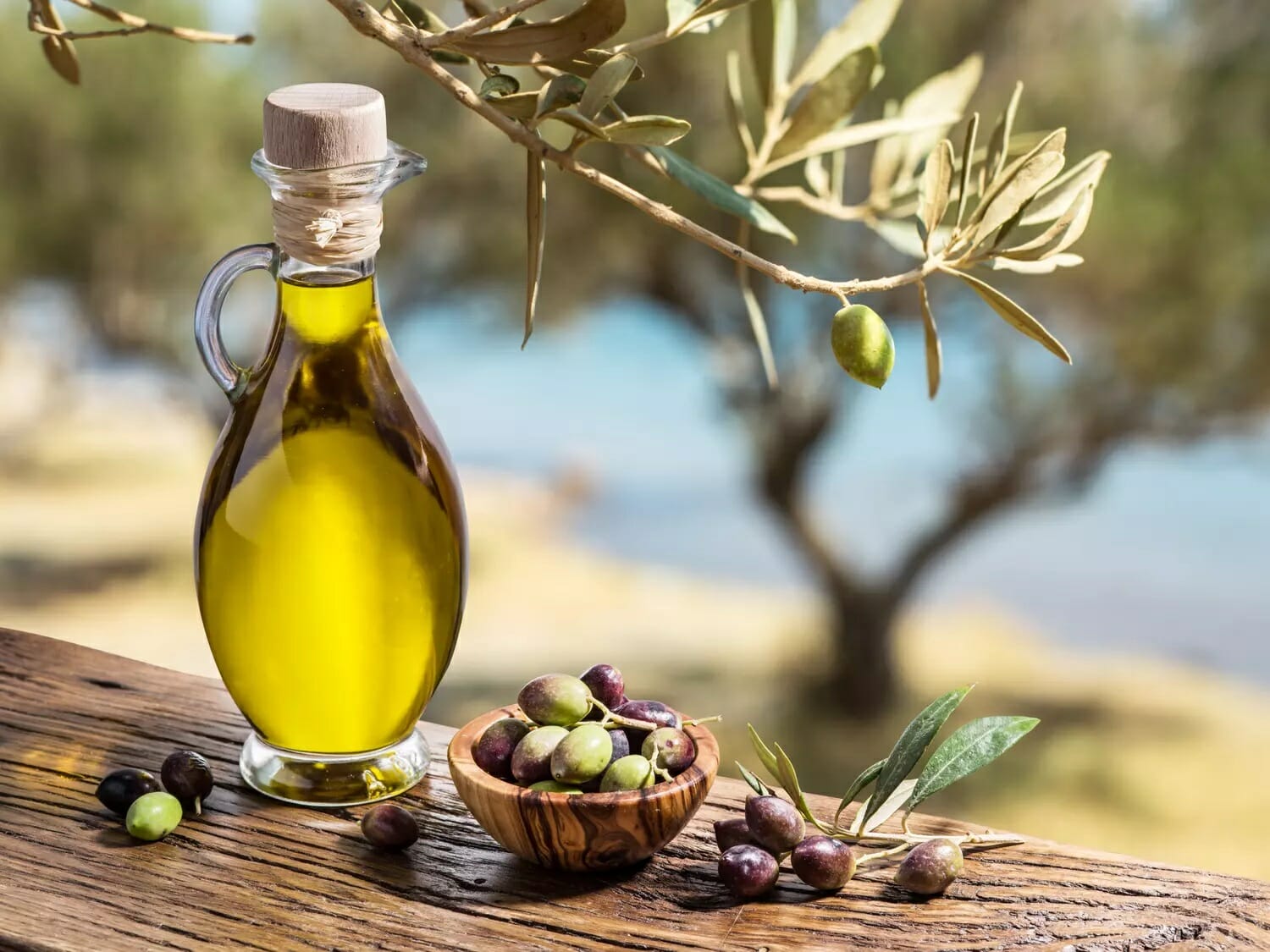 Olive oil is healthy and a good choice for cooking