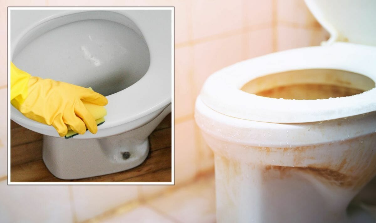 ليبدو وكأنه جديد..طرق سهلة وبسيطة لإزالة البقع الصفراء من مقعد المرحاض watanserb.com