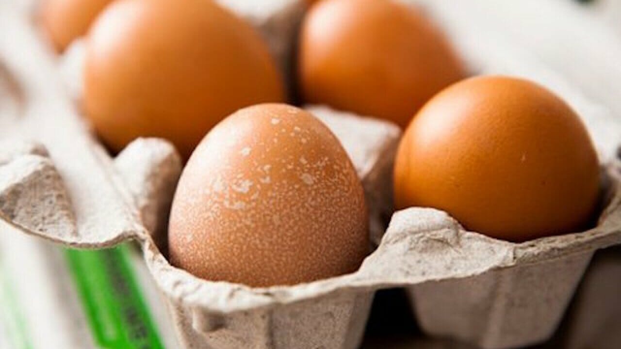 لتحمي قلبك..دراسة حديثة تكشف كمية البيض المسموح تناولها أسبوعيًا watanserb.com
