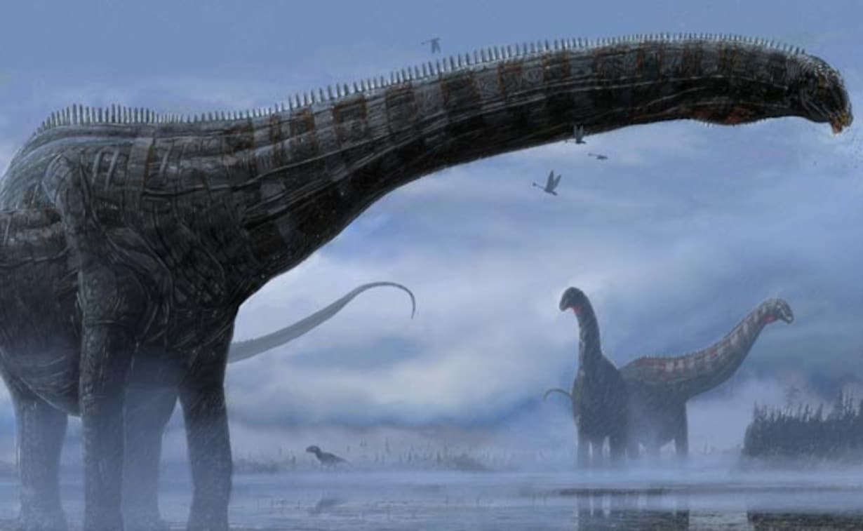 للمرة الأولى..علماء يكتشفون بقايا أربعة أنواع من الديناصورات في تشيلي watanserb.com