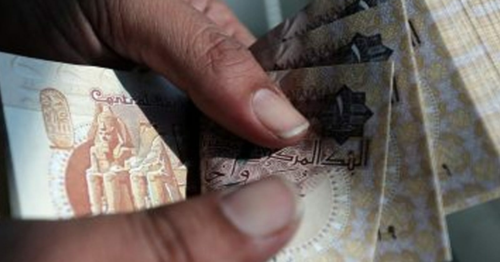 الجنيه المصري البنك المركزي المصري watanserb.com