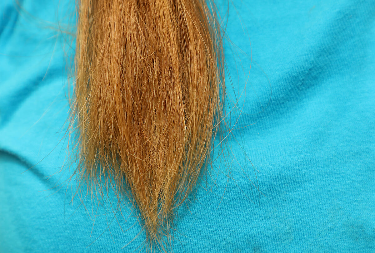 غسل الشعر بالشامبو بشكل متكرر هو سبب شائع آخر وراء تلف الشعر وتقصفه