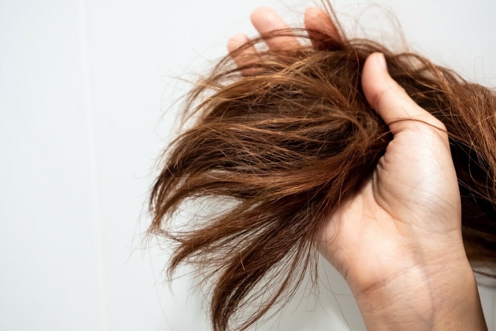 عدم غسل الشعر لمدة أسبوع يزيد في كمية الزيوت في شعرك