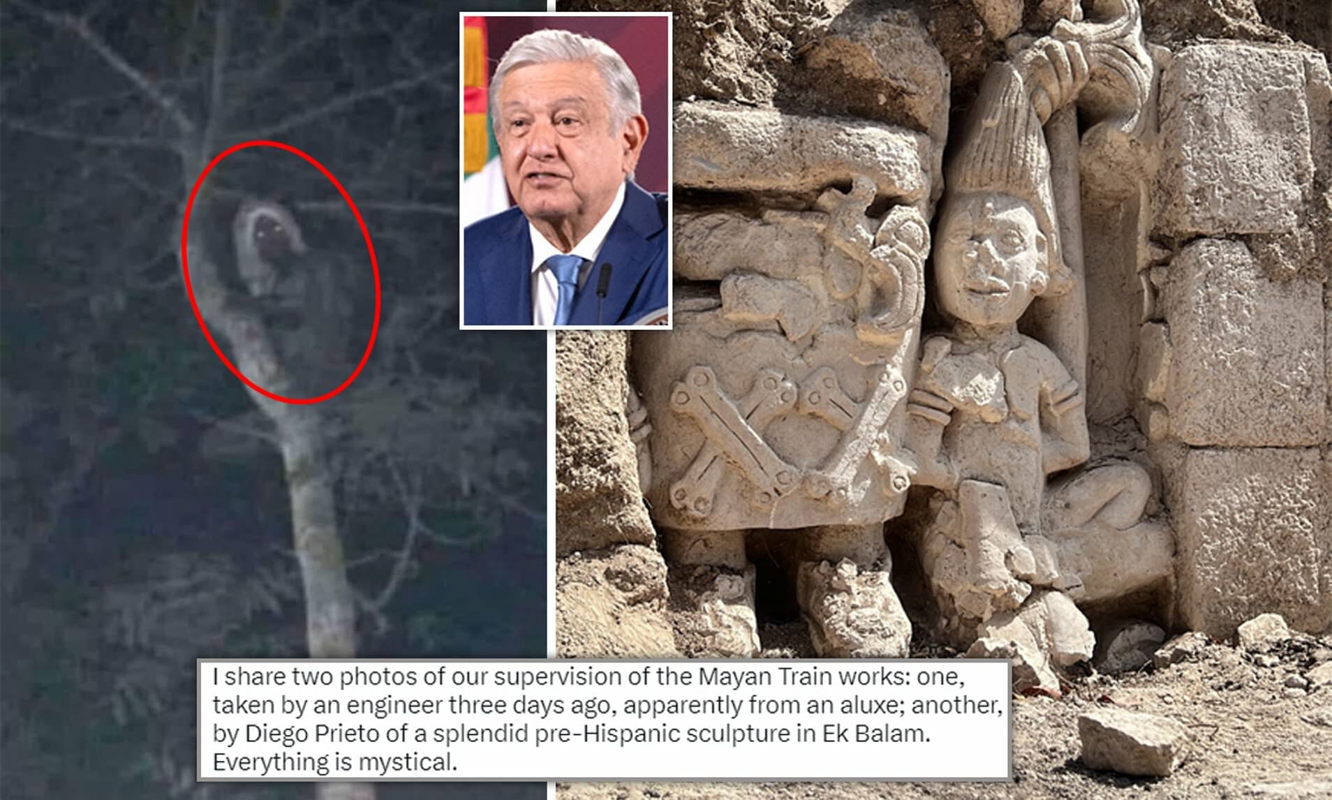 رئيس المكسيك ينشر صورة "جن" على غصن شجرة مع تعليق صادم (شاهد) watanserb.com