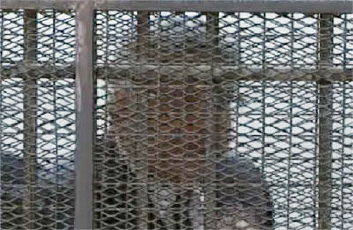 حبس مرتضى منصور بتهمة سب الخطيب