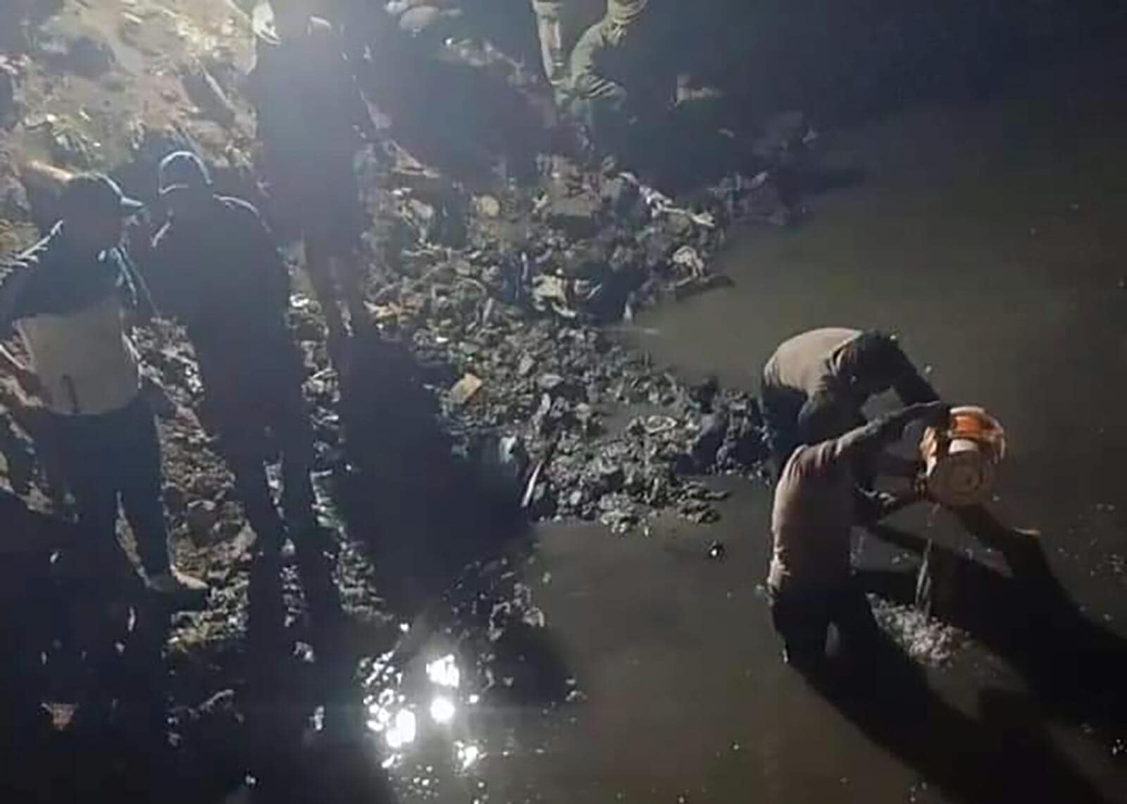 موت عماد حليم 