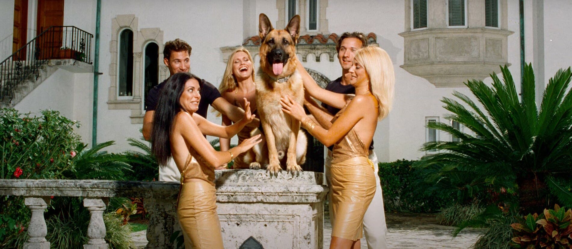 ثروته 29 مليون دولار..قصة "غونتر السادس" أغنى كلب في العالم watanserb.com