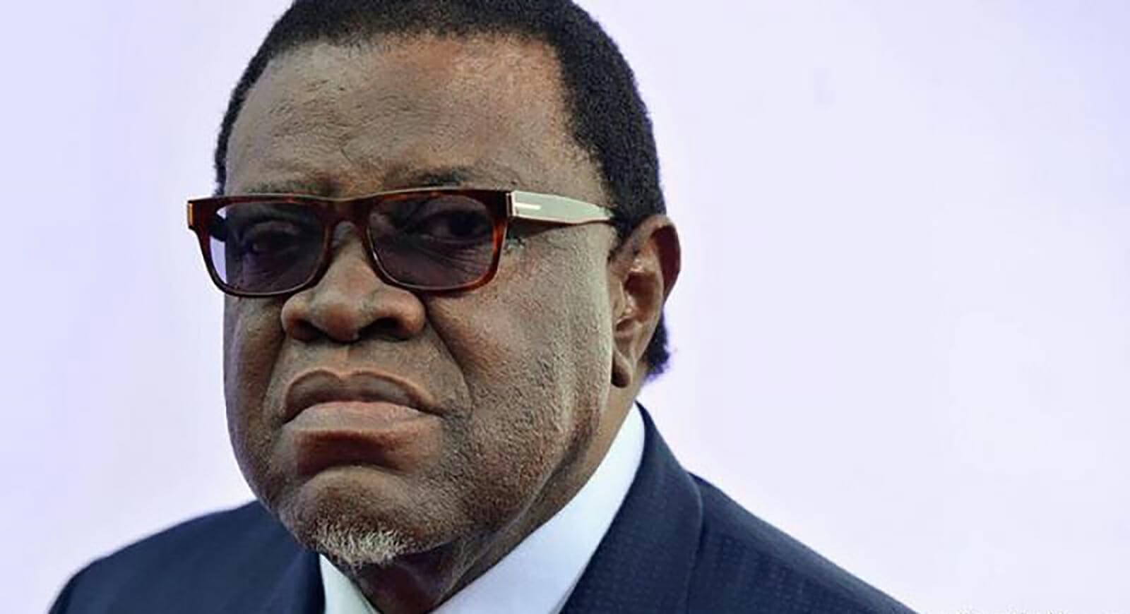 الرئيس الناميبي والسفير الألماني watanserb.com