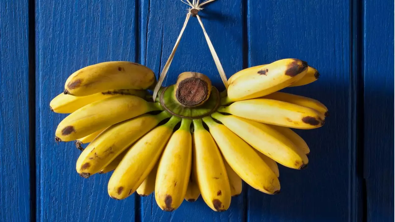 هل يمكن أن يساعد تناول الموز في إنقاص الوزن؟ watanserb.com