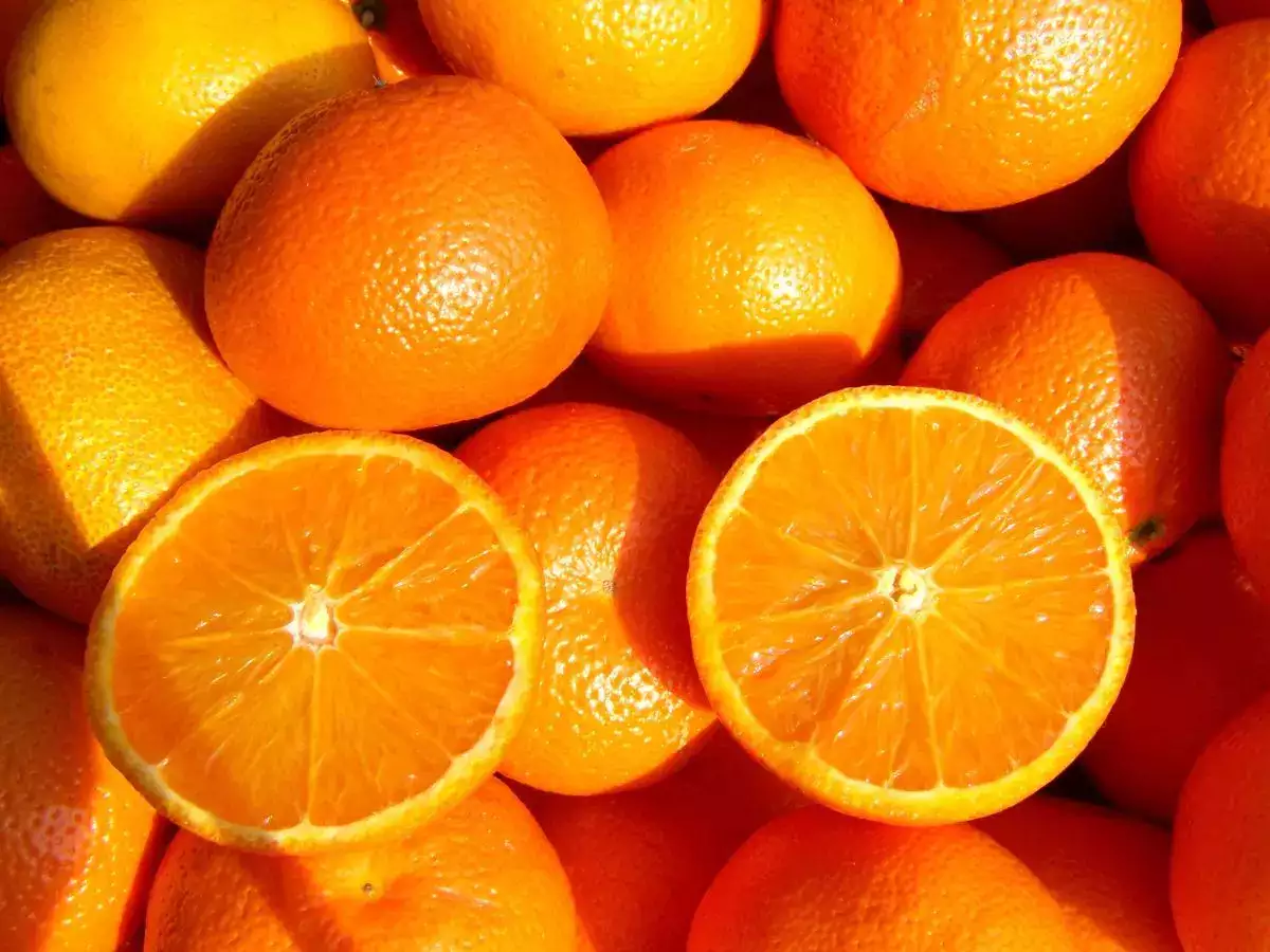 هل يمكن أن يقلل البرتقال من التوتر والقلق؟ watanserb.com