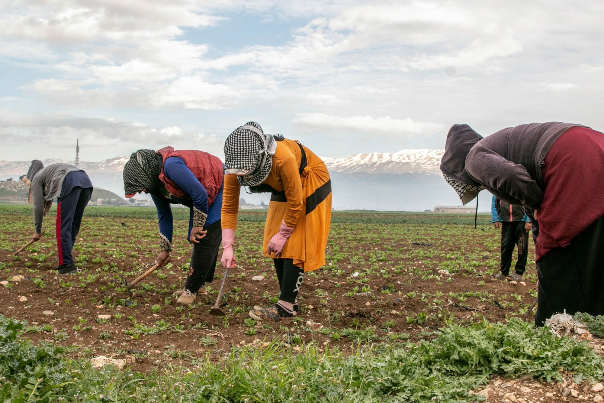 مجموعة من النساء السوريات من الرقة يعملن في الحقول القريبة من عنجر