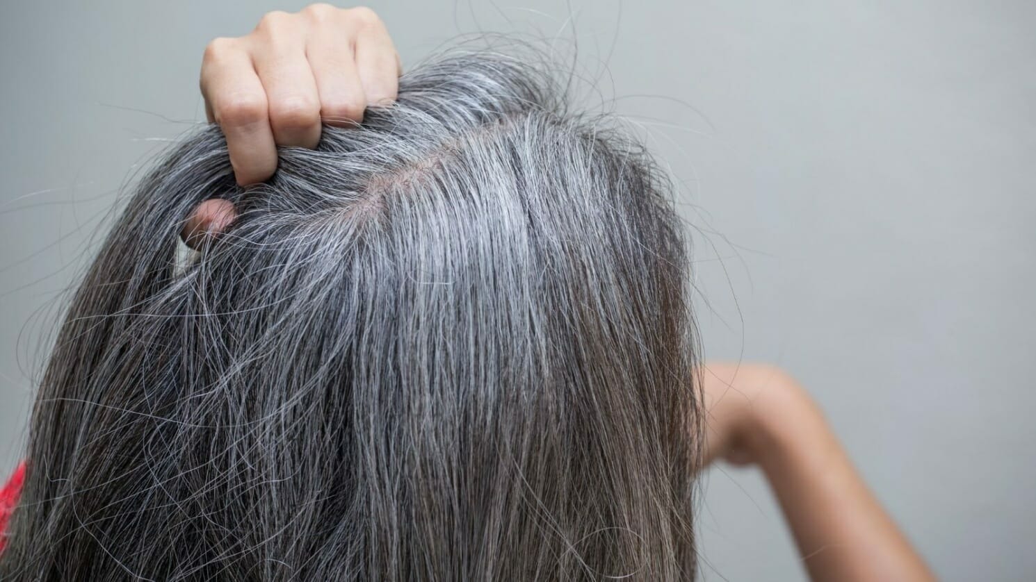 أخيرا.. العلماء يكتشفون سبب تحول الشعر إلى اللون الرمادي watanserb.com
