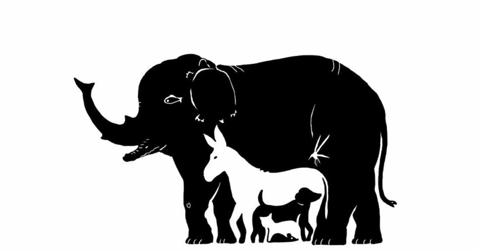 اكتشف الحيوانات المخفية في الصورة watanserb.com