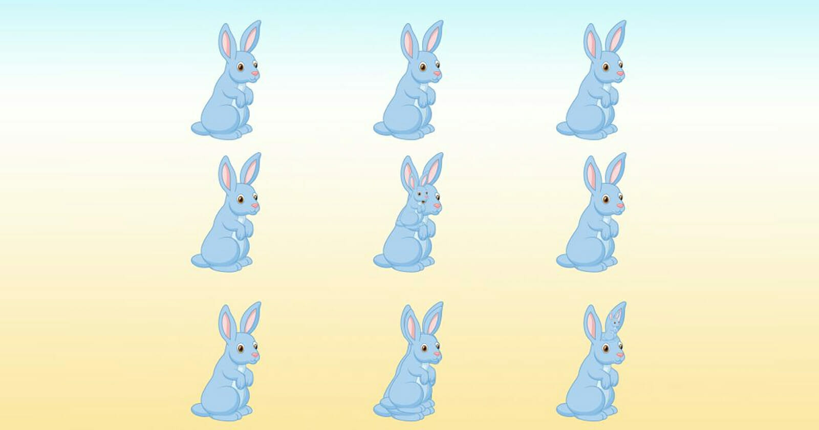 اكتشف عدد الأرانب الحقيقي في الصورة watanserb.com