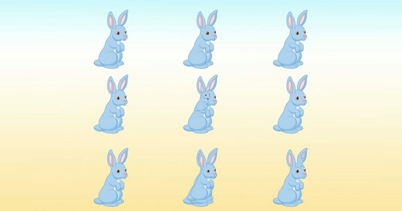 اكتشف عدد الأرانب الحقيقي في الصورة watanserb.com