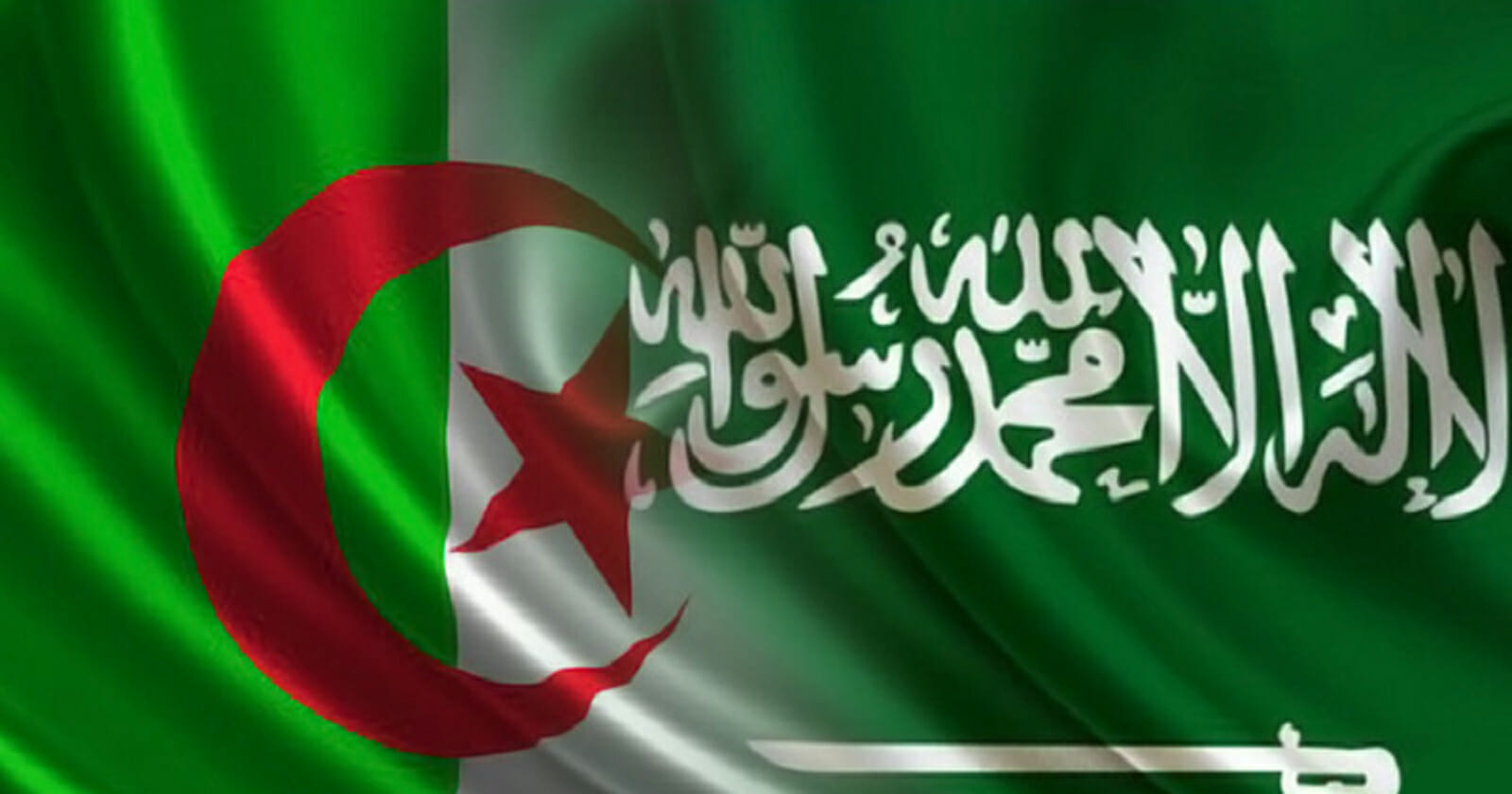 باحث سعودي في منظمة حكومية يهاجم الجزائر watanserb.com