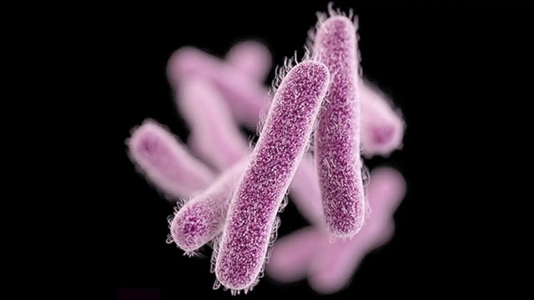 بكتيريا مقاومة للمضادات الحيوية