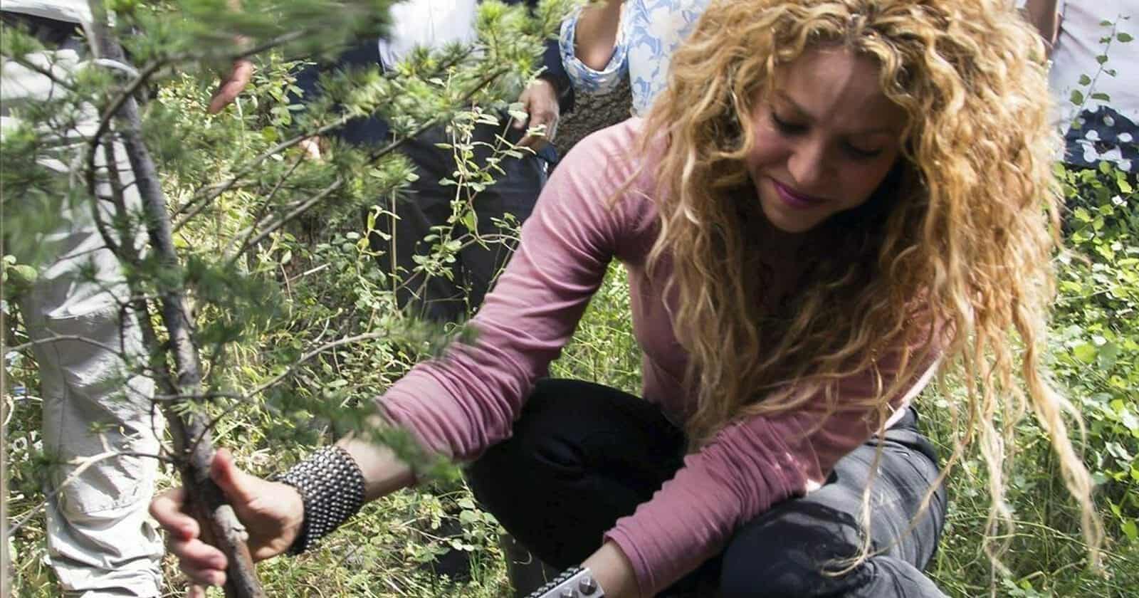 شاكيرا تقتلع شجرة من منزلها watanserb.com